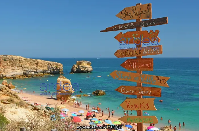 : Direction signs at the beach Praia San Rafael, Sesmarias : Direction signs at the beach Praia San Rafael, Sesmarias