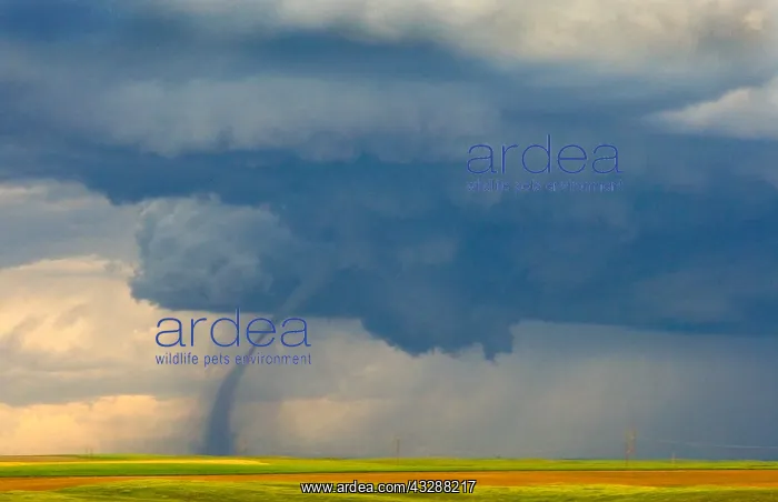 : A dirt-filled debris cloud of a weakening tornado : A dirt-filled debris cloud of a weakening tornado