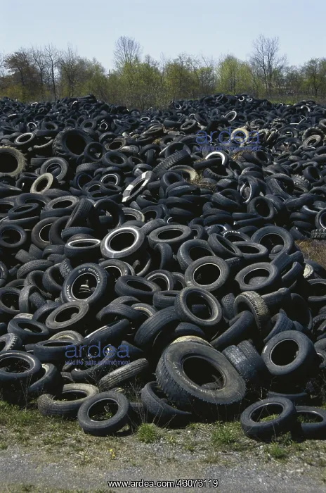 : Discarded Auto Tires : Discarded Auto Tires