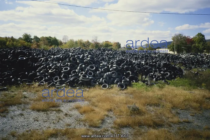 : Discarded Auto Tires : Discarded Auto Tires