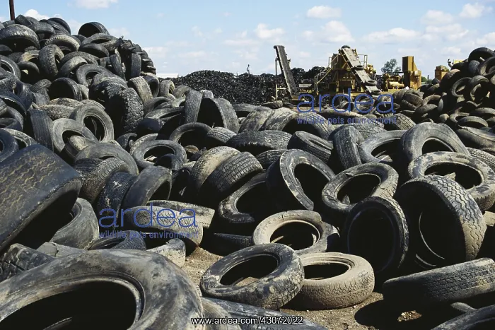 : Discarded Automobile Tires : Discarded Automobile Tires