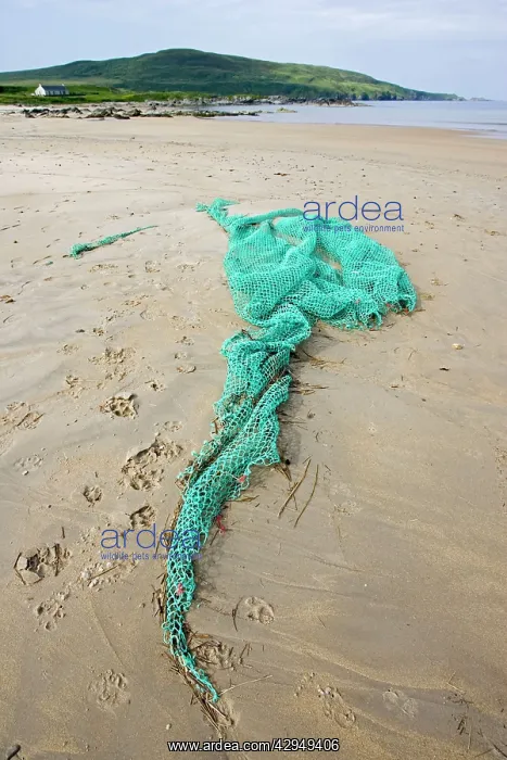  : Discarded fishing net washed up on beach