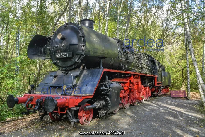 : Discarded locomotive class 50, Schoneberger Sudgelande : Discarded locomotive class 50, Schoneberger Sudgelande