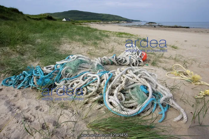 : Discarded rope and fishing net washed up on sandy beach : Discarded rope and fishing net washed up on sandy beach