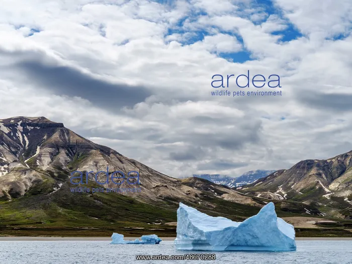 : Disko Island seen from Sullorsuaq Strait. Greenland, Danish : Disko Island seen from Sullorsuaq Strait. Greenland, Danish