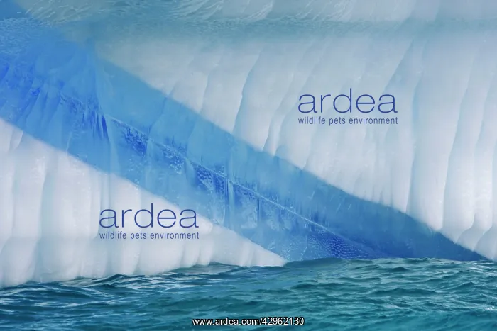 : Dispersion of light in an iceberg in the Lemaire : Dispersion of light in an iceberg in the Lemaire