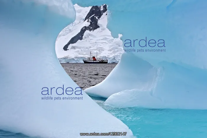 : Dispersion of light in an iceberg in the Lemaire : Dispersion of light in an iceberg in the Lemaire
