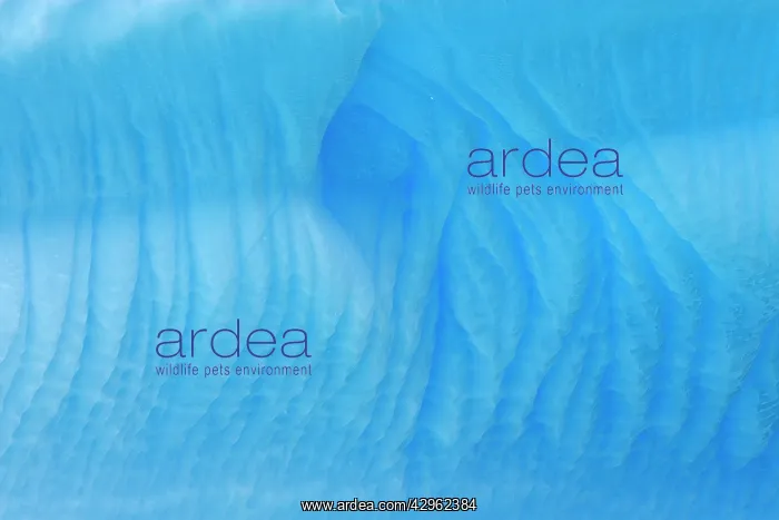 : Dispersion of light in an iceberg in the Lemaire : Dispersion of light in an iceberg in the Lemaire