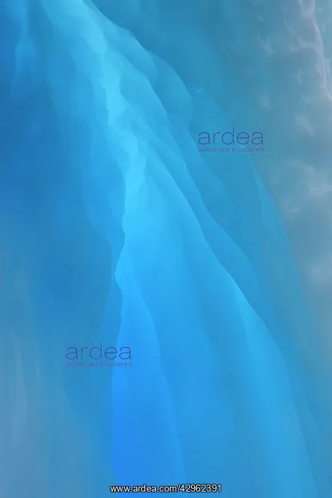 : Dispersion of light in an iceberg in the Lemaire : Dispersion of light in an iceberg in the Lemaire
