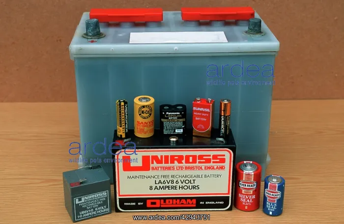 : Display of different kinds of batteries including : Display of different kinds of batteries including