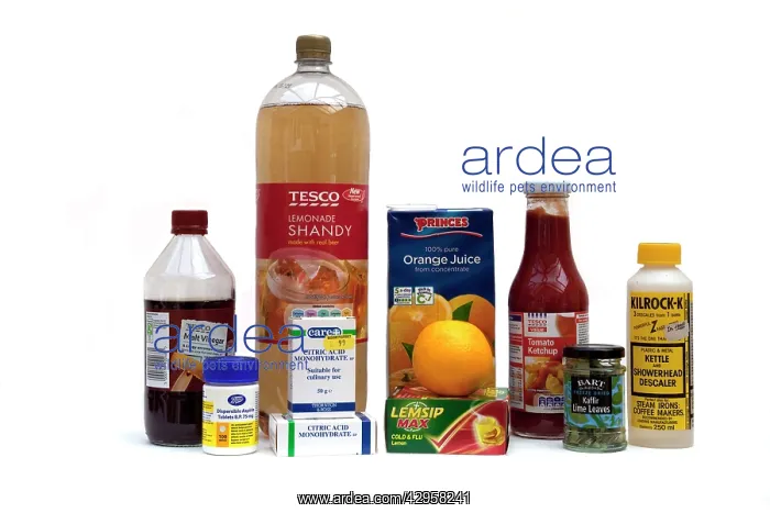 : Display of household items containing acids including : Display of household items containing acids including