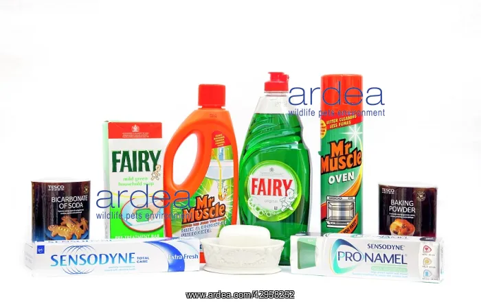 : Display of household items containing alkalis including : Display of household items containing alkalis including