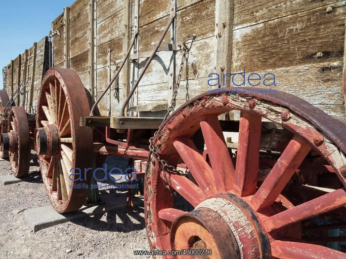 : Displayed wagons at the Harmony Borax Works in : Displayed wagons at the Harmony Borax Works in