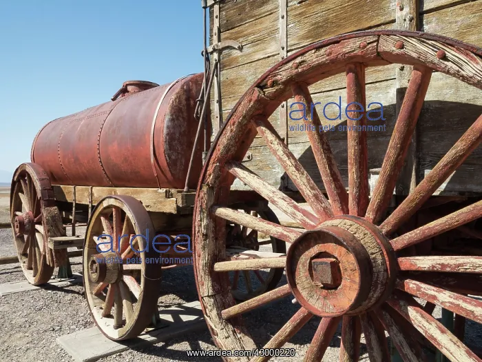 : Displayed wagons at the Harmony Borax Works in : Displayed wagons at the Harmony Borax Works in