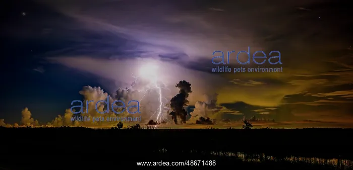 : A distant thunder storm and sky draws contrast to the dark : A distant thunder storm and sky draws contrast to the dark