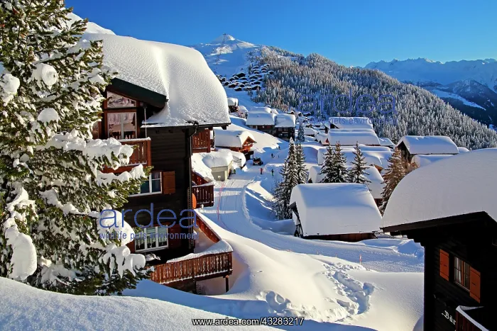 : District Alpmatten, snow covered, Bettmeralp, Aletsch : District Alpmatten, snow covered, Bettmeralp, Aletsch