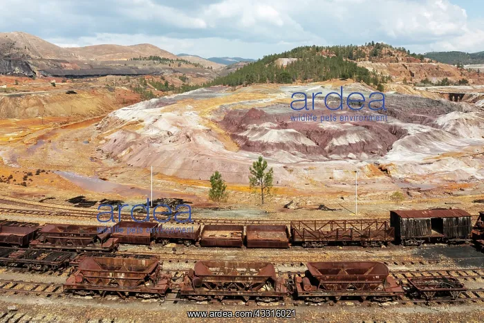 : Disused wagons at the dramatically scarred landscape : Disused wagons at the dramatically scarred landscape