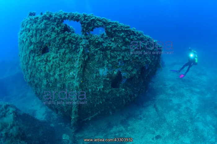 : Diver and Boat Wreck, Antheors P&, x9ba9;ches Dive : Diver and Boat Wreck, Antheors P&, x9ba9;ches Dive
