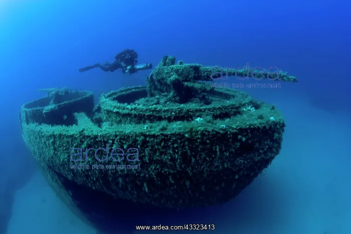 : Diver exploring with scooter the bow with machine gun of the : Diver exploring with scooter the bow with machine gun of the