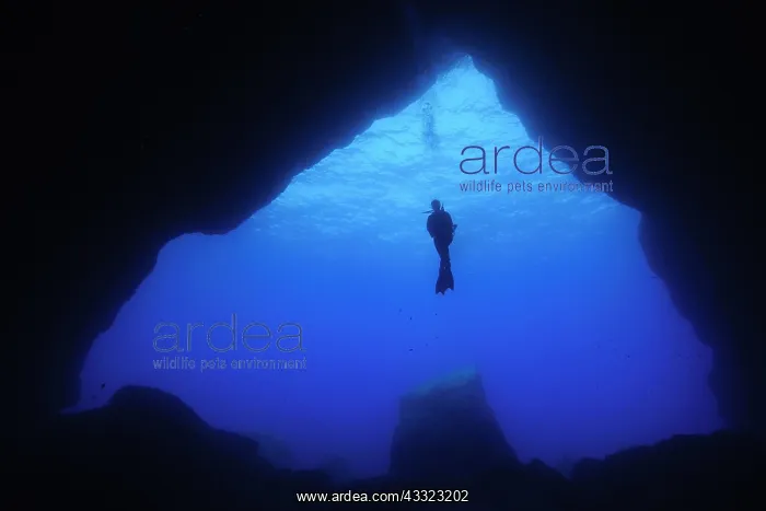 : Diver floating in open water in front of large cave : Diver floating in open water in front of large cave