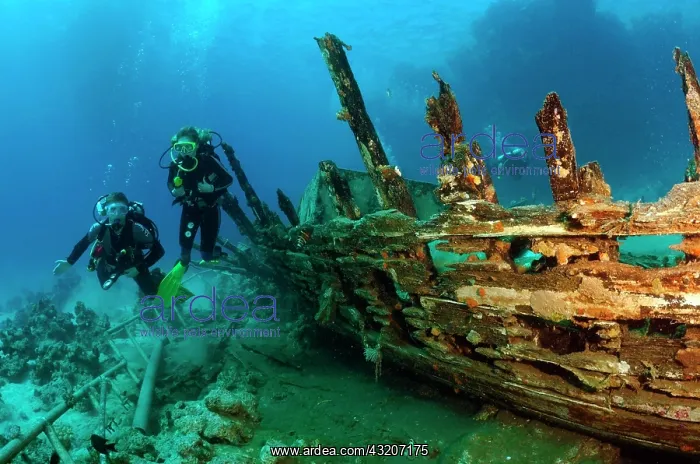 : Diver at ship wreck, Red Sea, Egypt, Africa : Diver at ship wreck, Red Sea, Egypt, Africa