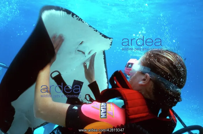  : Diver with Stingray
