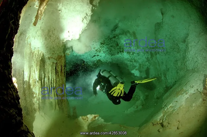 : Diver with torch - Cave dving Maya Cenotes Yucatan Mexico : Diver with torch - Cave dving Maya Cenotes Yucatan Mexico