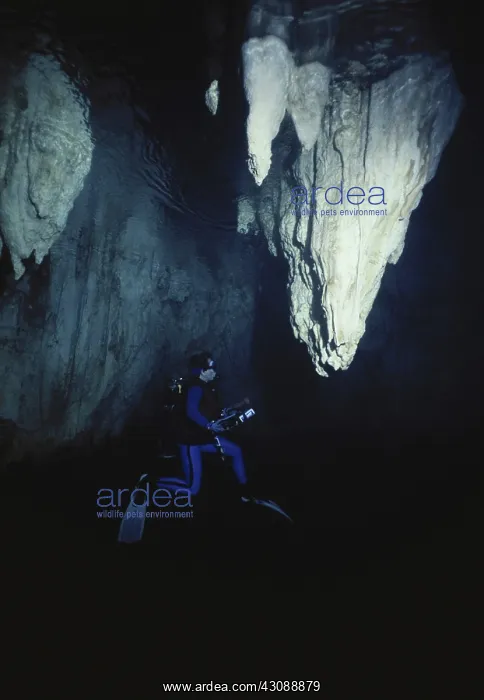 : Diver in Underwater Cave : Diver in Underwater Cave