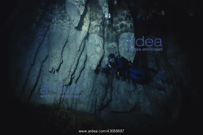 : Diver in Underwater Cave : Diver in Underwater Cave