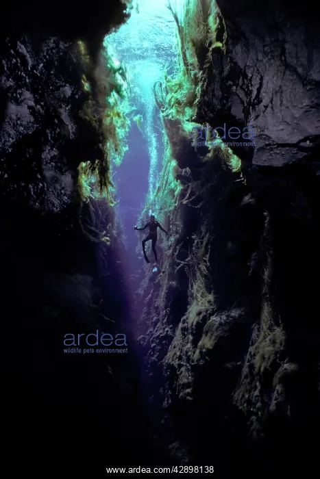 : Diver Valerie Taylor - in sinkhole at the entrance : Diver Valerie Taylor - in sinkhole at the entrance