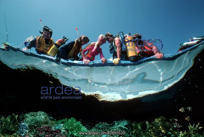 : Divers in boat - fishes eye view of divers about : Divers in boat - fishes eye view of divers about