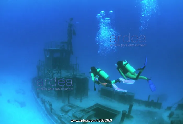 : Divers on wreck : Divers on wreck