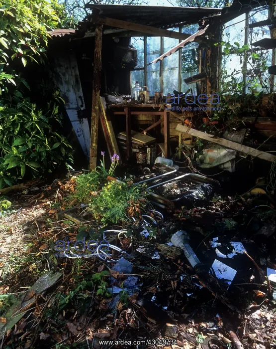 : Dliapidated shed : Dliapidated shed
