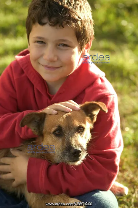 : Dog - Boy holding Mongrel : Dog - Boy holding Mongrel