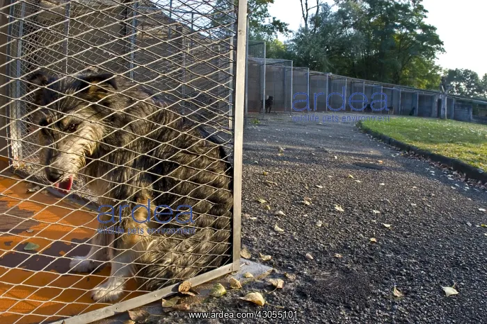 : Dog cage in the APS : Dog cage in the APS