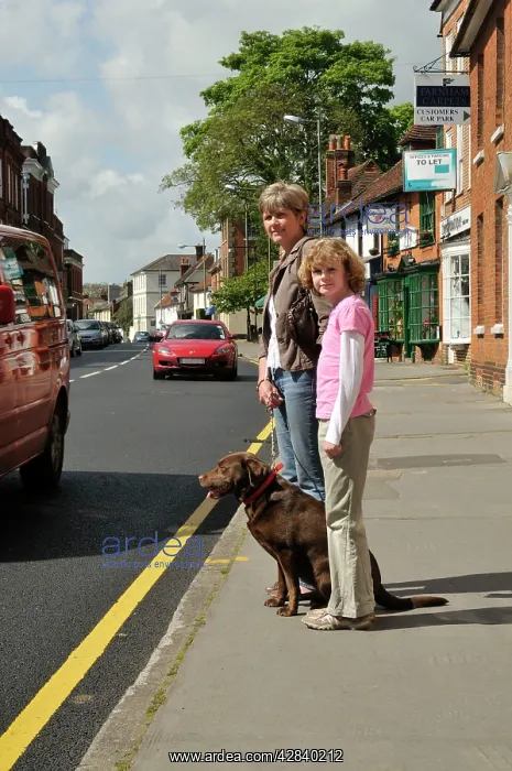 : Dog crossing a road safely with adult & child : Dog crossing a road safely with adult & child
