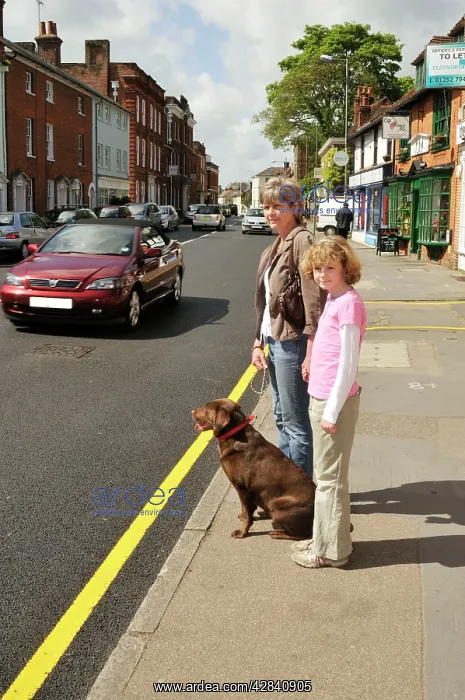 : Dog crossing a road safely with adult & child : Dog crossing a road safely with adult & child