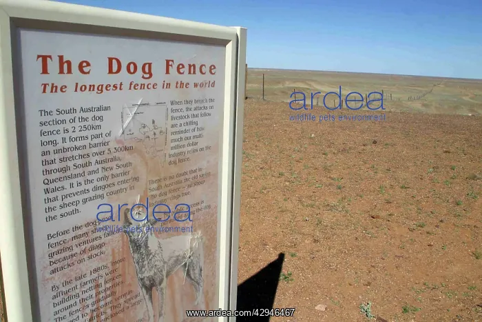 : The Dog Fence - longest dog fence in the world : The Dog Fence - longest dog fence in the world