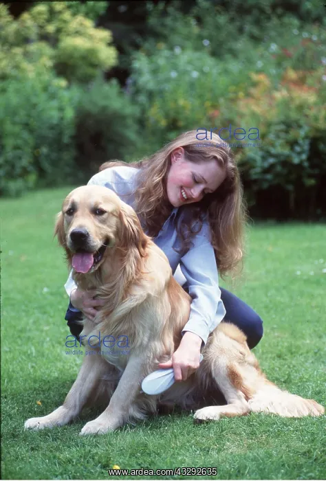  : DOG - girl grooming