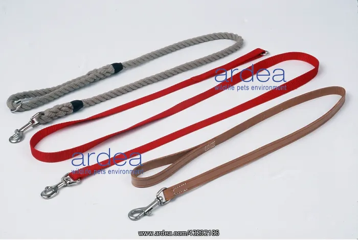 : DOG - LEADS, three different styles of leads : DOG - LEADS, three different styles of leads