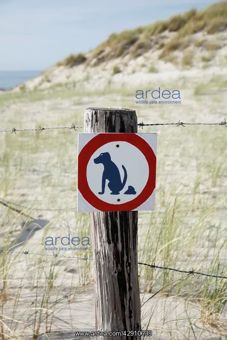 : Dog Litter Sign - on beach : Dog Litter Sign - on beach