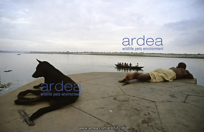 : Dog and man lying beside the Ganges Varanaci India : Dog and man lying beside the Ganges Varanaci India