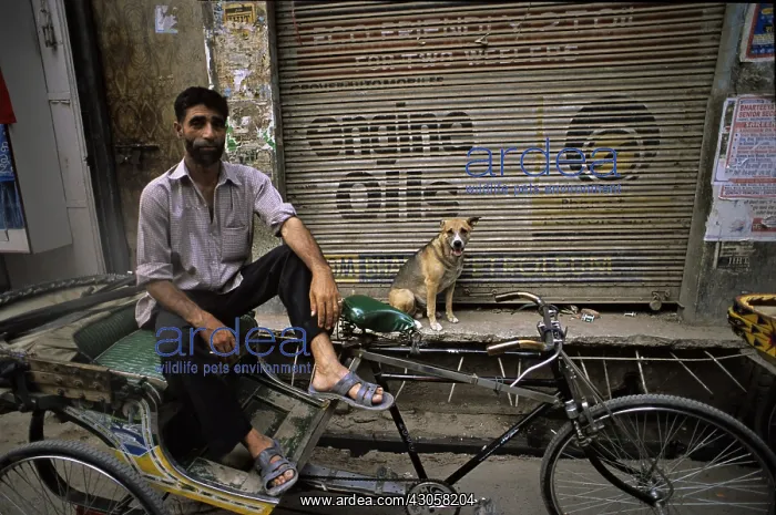 : Dog and man on a scooter Varanaci India : Dog and man on a scooter Varanaci India