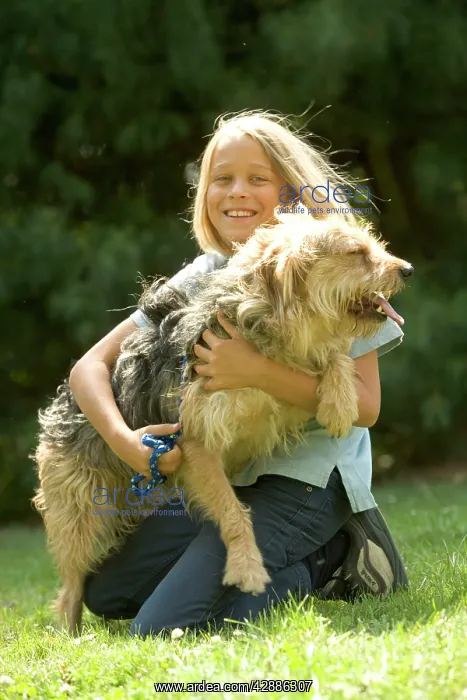 : Dog - Mongrel on girl's lap : Dog - Mongrel on girl's lap