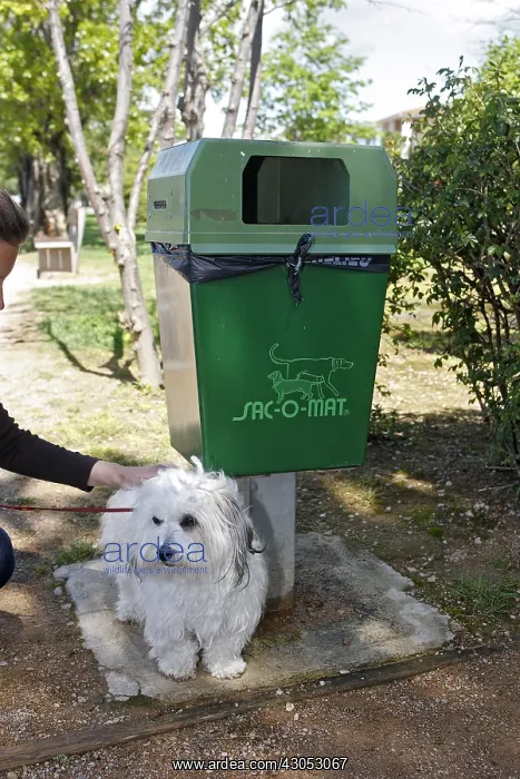 : Dog near a dustbin to collect dog mess France : Dog near a dustbin to collect dog mess France