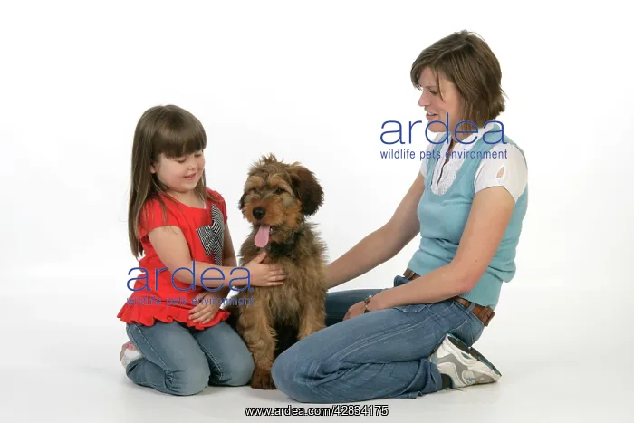  : Dog - Puppy (Briard) interacting with a family
