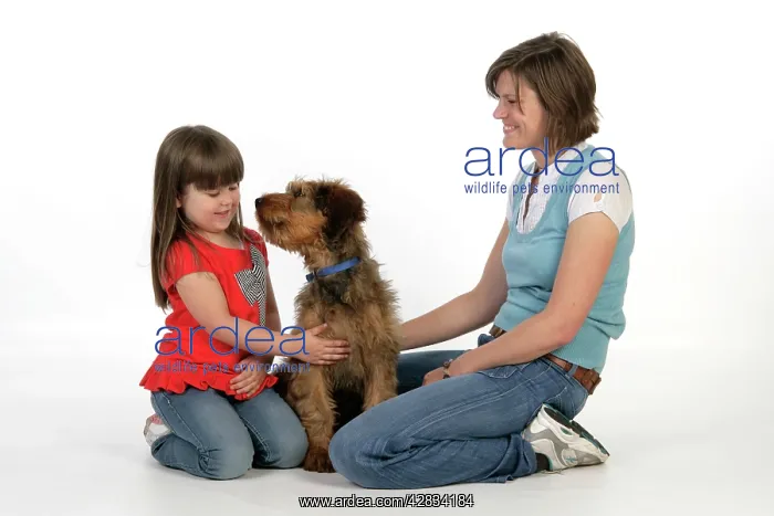  : Dog - Puppy (Briard) interacting with a family