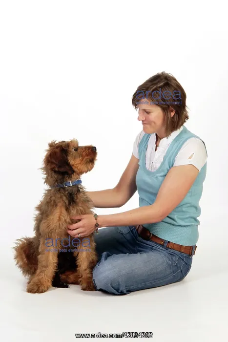 : Dog - Puppy (Briard) & owner looking lovingly at each other : Dog - Puppy (Briard) & owner looking lovingly at each other