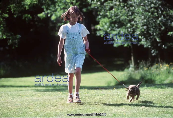 : DOG - Puppy child walking : DOG - Puppy child walking