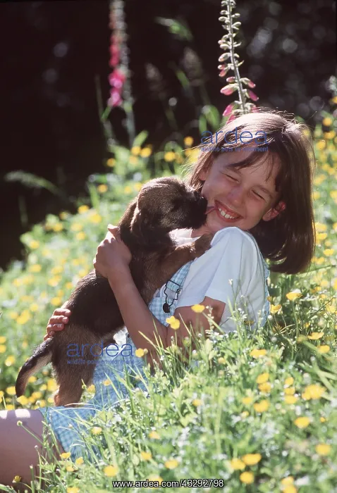 : DOG - PUPPY - LICKING GIRL'S FACE in flowers : DOG - PUPPY - LICKING GIRL'S FACE in flowers